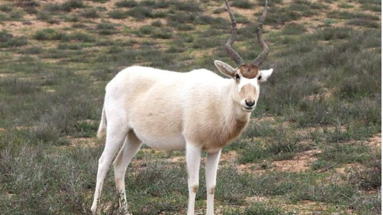 parc national au départ de Taghazout