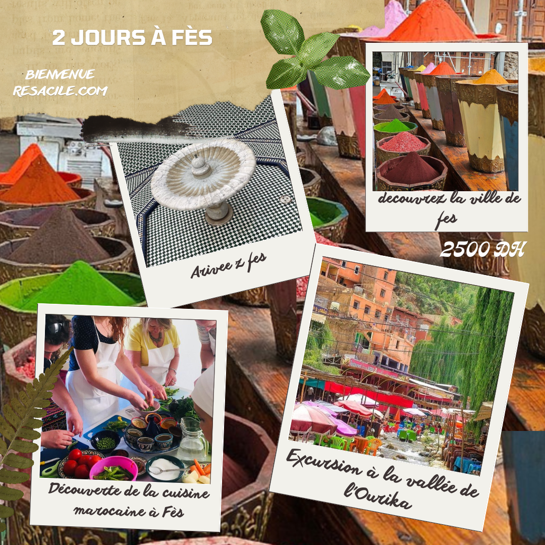 Fès : Découverte Culinaire et Excursion à la Vallée de l'Ourika