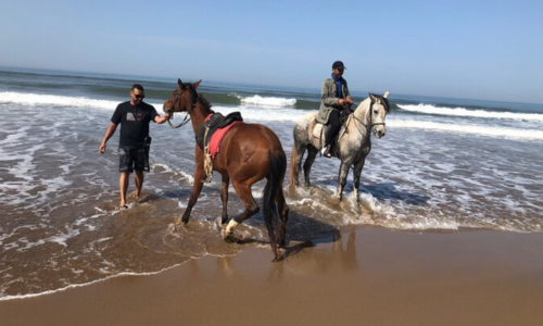 Équitation sur la Plage